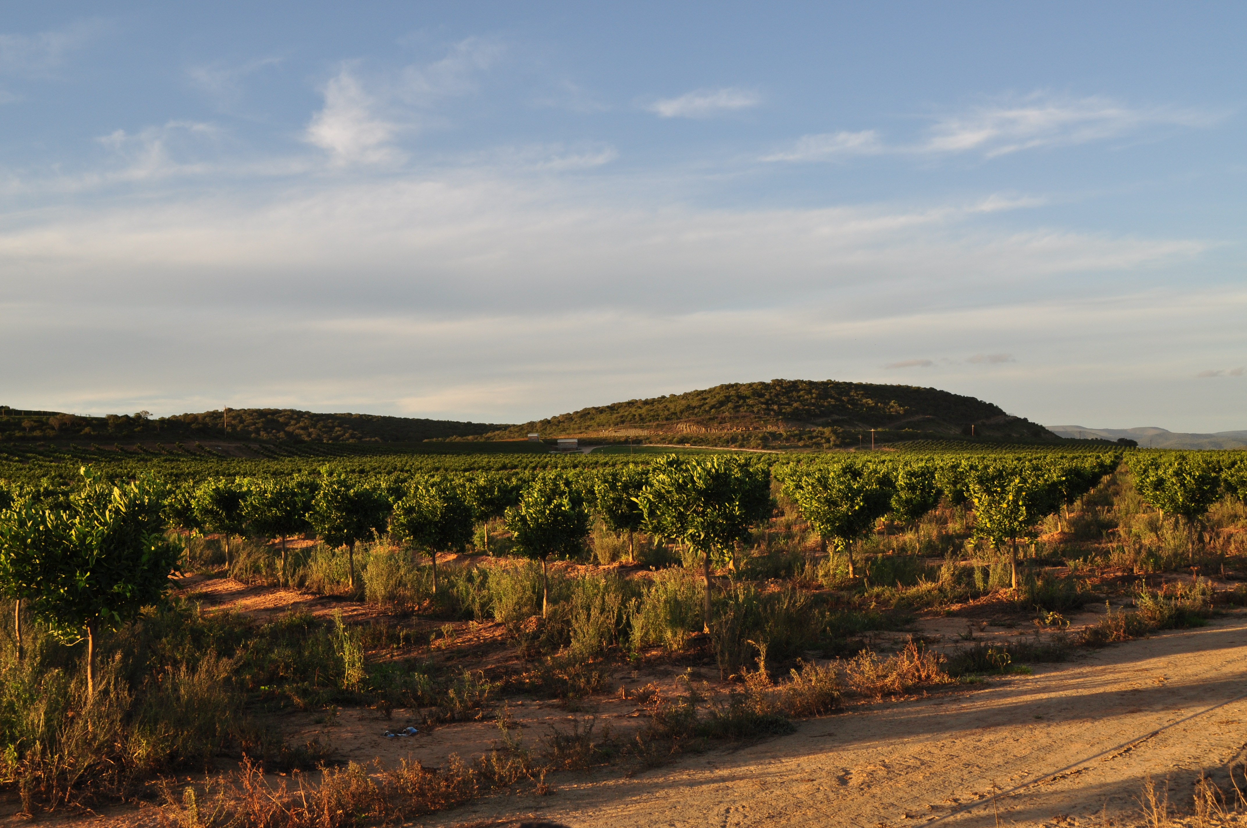 CIBEL en Afrique du Sud