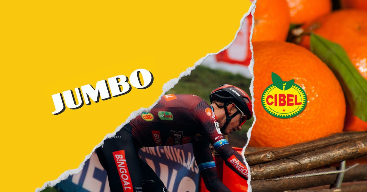 JUMBO clementine actie