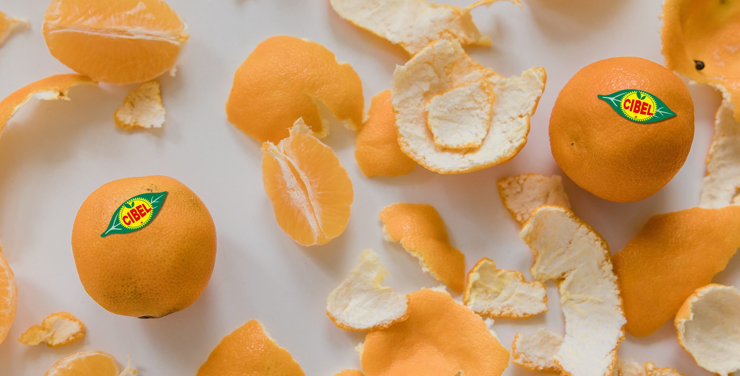 CIBEL clementine action!